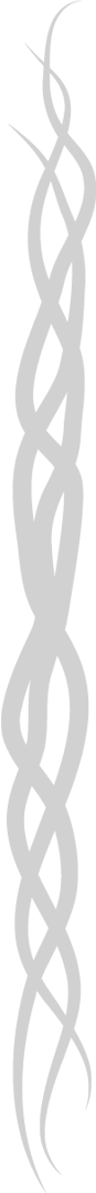 leftside